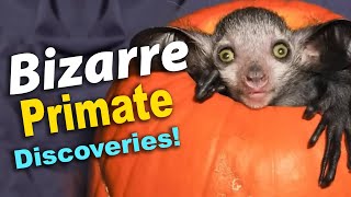 😱 20 Freaky Primates That Will Make You Say quotWhat The Muck [upl. by Merp]