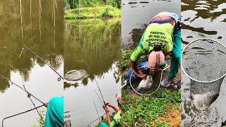 Pesca de tilapia na diária  Pesqueiro Magalhães  Mandirituba PR [upl. by Canute164]