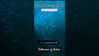 Surah As Sajdah translation followislamfullqurantranslationquranchaptertranslationquranandislam [upl. by Smiga]