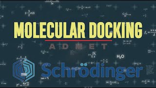 Moleküler Doking Molecular Docking  ADMET [upl. by Natsyrt]