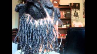 How To Do Two Strand Twists on Short to Medium Length Natural Hair [upl. by Cicely]