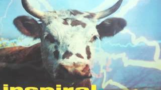 Inspiral Carpets  Commercial Reign audio [upl. by Adrell]