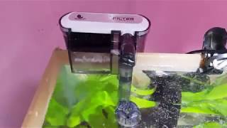 quotJeneca External Hanging Filter XP03quot unboxing and Installation [upl. by Nobile]