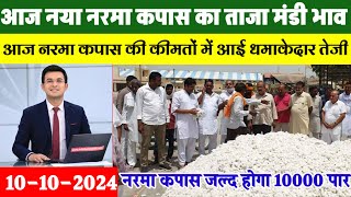 नरमा कपास के भाव 10 अक्टूबर 2024 नरमा कपास में आई धमाकेदार तेजी narma ka bhav cotton Prices today [upl. by Xenia]