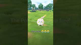 Shiny Togedemaru ran away 😭😭😭 gaming like funny [upl. by Karim]