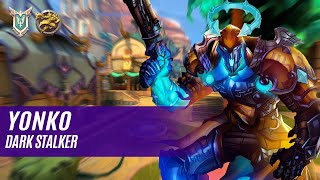 yonkō ANDROXUS PALADINS COMPETITIVE MASTER DARK STALKER [upl. by Aicenat203]