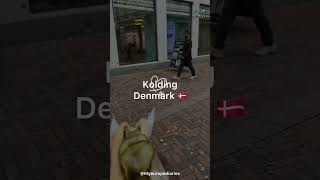 Kolding City in Denmark 🇩🇰denmark travel kolding shortvideo youtubemusic vlog youtubeshorts [upl. by Aicirtak441]