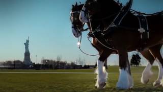 Budweiser Clydesdales 911 Tribute Ad Super Bowl 2011 [upl. by Ehav]