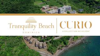 Tranquility Beach Resort  Curio Collection by Hilton  Construction Update October 2024 [upl. by Harrad]