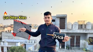 Trick with Other Kites  Kite Cutting  Kite Flying  Ankit Kite Fighting [upl. by Donadee]