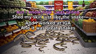 Snakes · Amyl and the sniffers · Karaoke Instrumental Lyrics [upl. by Ajaj]