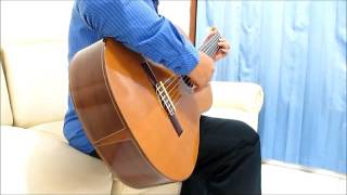 Belajar Gitar Fingerstyle Krisdayanti Menghitung Hari [upl. by Wolgast]