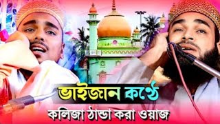 ভাইজানের কণ্ঠে ওয়াজ হুবহু নকল┇Abu Ansari saheb jalsa┇abbas siddiqui jalsa┇রমজানের সেরা ওয়াজ ২০২৪ [upl. by Tnilc939]