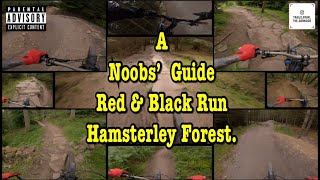 Hamsterley Forest Beginners Guide to a Red amp Black Run Time stamped Specialized Turbo Levo Emtb [upl. by Semreh91]