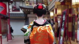 Geishas walk from Pontocho to Minamiza in Gion Kyoto  京都祇園、先斗町～南座を歩く舞妓さんを人生で初めて見た外国人観光客、海外の反応 [upl. by Namwen]