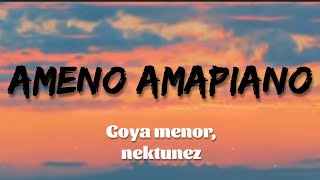 Goya menor amp Nektunez  Ameno amapiano remix Lyrics  traduction Française [upl. by Lehman]