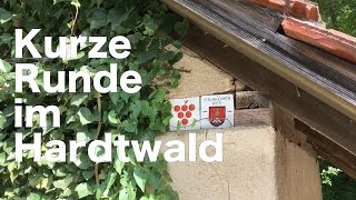 Kurze Runde im Hardtwald es wird laut [upl. by Divad668]