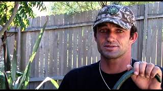 Neco Padaratz Talks About His 2005 ASPWCT Drug Ban amp His Back Injury Comeback Brazilian Pro Surfer [upl. by Jorie]