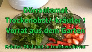 KräuterObst dörrentrocknen Vorrat aus Garten Dörrautomat Test [upl. by Ynatsed328]