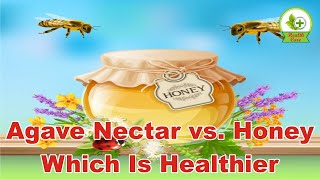 Agave Nectar vs Honey Which Is Healthier [upl. by Egwin]