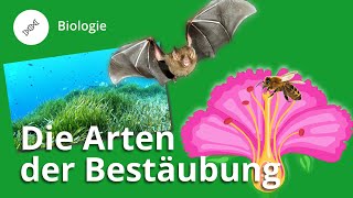 Arten der Bestäubung so vermehren sich Pflanzen – Biologie  Duden Learnattack [upl. by Brody774]