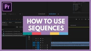 How to Use Sequences in Premiere Pro  for Newbs [upl. by Daloris347]