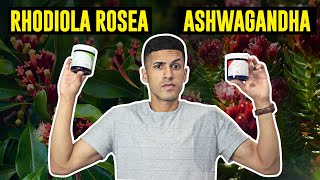 Ashwagandha vs Rhodiola Rosea My Favorite [upl. by Malkin639]