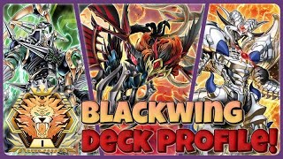 FEBRUARY MASTER RANK 1 BEST BLACKWING DECK [upl. by Avlis]