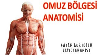 KAS ANATOMİ si KONU ANLATIMI2  Omuz Bölgesi [upl. by Rahmann]