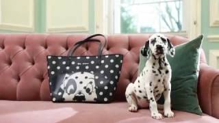 Introducing 101 Dalmatians x Cath Kidston [upl. by Anerda]