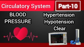 Bp Blood pressure kya hota hai Kaise pata kare  neet basic  6to10th biology [upl. by Ahsenyl]