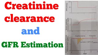 Creatinine clearance and GFR Estimation Renal system [upl. by Sheena]