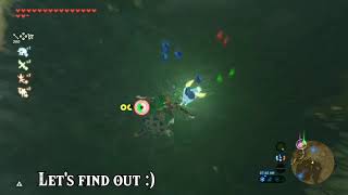 How MUCH would you GET to a single Blupee in BOTW [upl. by Lila]