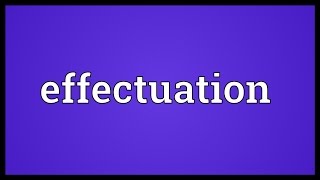 Effectuation Meaning [upl. by Yanahs]