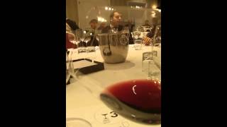 Riedel Masterclass Pinot Noir Vinum Glass [upl. by Carbo]