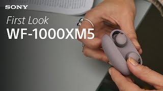 First Look Sony WF1000XM5 Wireless Noise Cancelling Earbuds in Smoky Pink [upl. by Emylee]