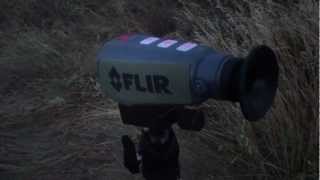 FLIR Scout PS32 Thermal Imager Brief Review [upl. by Enimrej608]