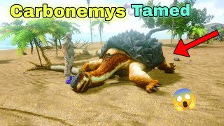 Taming Carbonemys in Ark Survival Evolved Gameplay 2 [upl. by Rosol11]