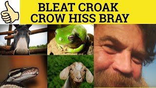 🔵 Croak Bray Bleat Crow Hiss  Meaning and Examples  Animal Sounds [upl. by Ravel]