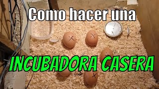 Como hacer una incubadora casera para pollos  Incubadora casera para pollos [upl. by Aikemahs]