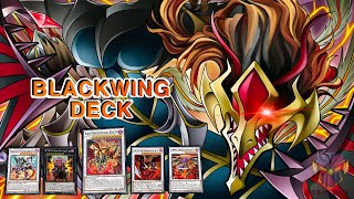 BLACKWING DECK WITH TRIPLE TAX AND KALI YUGA COMBO  BLACKWING ARCHETYPE  YUGIOH MASTER DUEL [upl. by Cusack467]