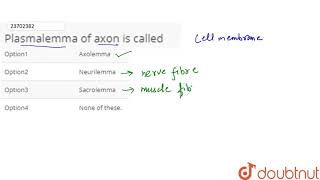 Plasmalemma of axon is called [upl. by Enomed]