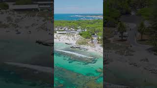 Discovering Paradise Exploring the Hidden Gems of Rottnest Island [upl. by Paul]