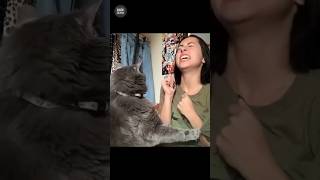 The Internet’s Funniest Cats Right Here😹🐾 funnycats viral shorts cats cat trending catvideos [upl. by Girvin975]