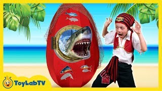 GIANT SHARK EGG SURPRISE OPENING with Shark Toys amp Shark vs Pirate in Fun Kids Video ToyLabTV [upl. by Piwowar439]