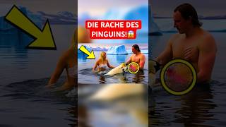 DIE RACHE des Pinguins 😱shorts rache pinguin arktis kalt schockierend [upl. by Yelac]