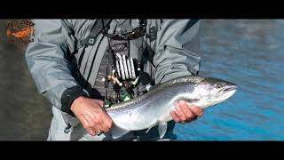 Cattaraugus Creek Bait amp Tackle Steelhead Fishing Guide Service [upl. by Eitsyrc]