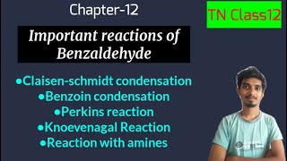 Important reactions of BenzaldehydeChapter12ChemistryTN Class12 [upl. by Galasyn316]