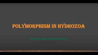 Polymorphism in Hydrozoa by Dr Kiran Ramrao Borkar [upl. by Llenreb208]