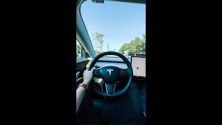 Tesla Model 3 Long Range with Acceleration Boost 060 [upl. by Leahsim62]